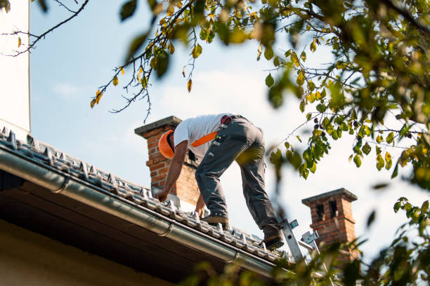 Best Storm Damage Roof Repair  in Blair, WI